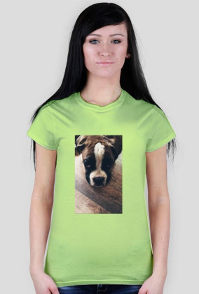 Dog Boxer