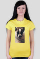 Dog Boxer