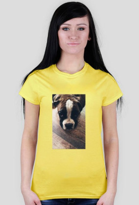 Dog Boxer