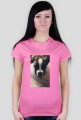 Dog Boxer