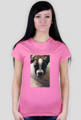 Dog Boxer