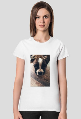 Dog Boxer