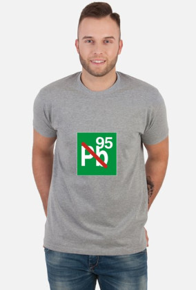 Pb95