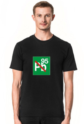 Pb95