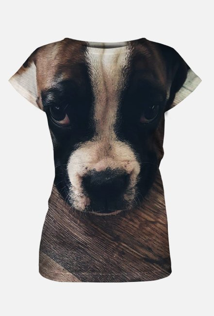 Boxer Dog
