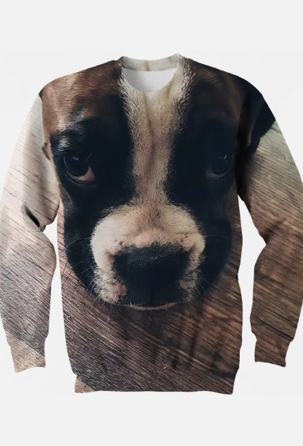 Boxer Dog