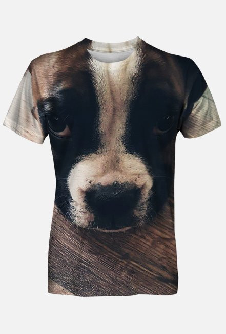 Boxer Dog
