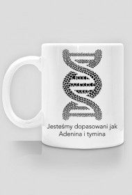 Jesteśmy dopasowani