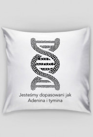 Jesteśmy dopasowani