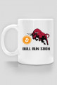 Bitcoin Bull Run Soon