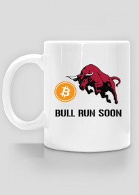 Bitcoin Bull Run Soon