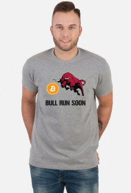 Bitcoin Bull Run Soon