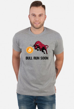Bitcoin Bull Run Soon