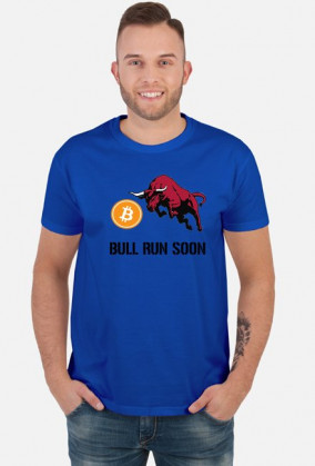 Bitcoin Bull Run Soon