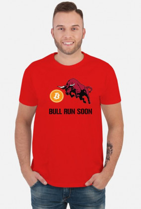 Bitcoin Bull Run Soon
