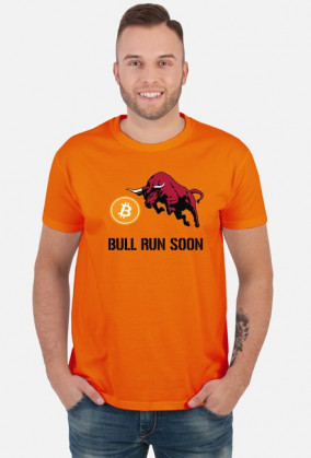 Bitcoin Bull Run Soon