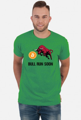 Bitcoin Bull Run Soon