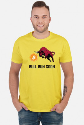 Bitcoin Bull Run Soon