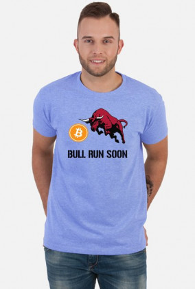 Bitcoin Bull Run Soon