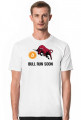 Bitcoin Bull Run Soon