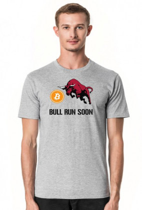 Bitcoin Bull Run Soon