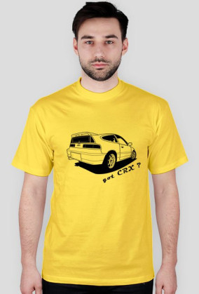 Honda CRX Got CRX FastOutline