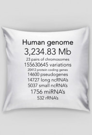 Human genome