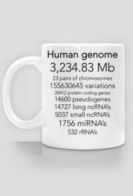 Human genome