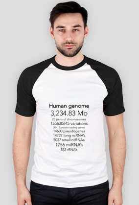 Human genome