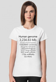 Human genome