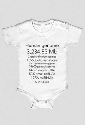 Human genome