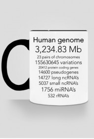 Human genome