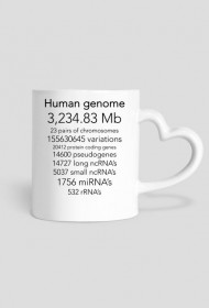 Human genome