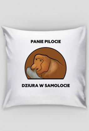 Poduszka, Panie pilocie dziura w samolocie