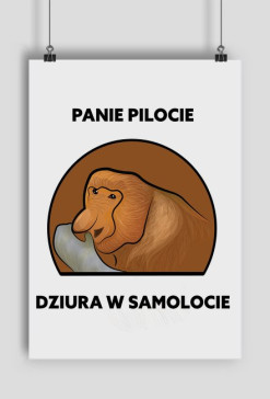 Plakat A1, Panie pilocie dziura w samolocie