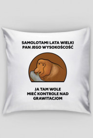 Poduszka, Samolotami lata wielki pan jego wysokość