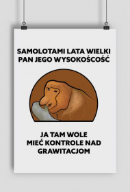 Plakat A1, Samolotami lata wielki pan jego wysokość