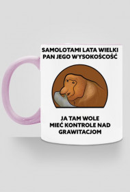 Kubek kolor, Samolotami lata wielki pan jego wysokość