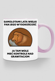 Kubek kolor, Samolotami lata wielki pan jego wysokość