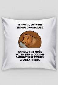 Poduszka, Te Pioter co ty mie znowu opowiadasz