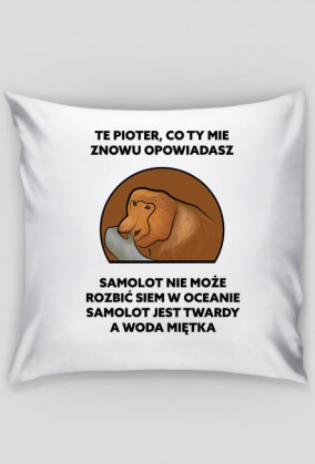 Poduszka, Te Pioter co ty mie znowu opowiadasz