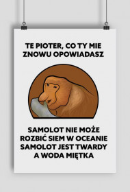 Plakat A1, Te Pioter co ty mie znowu opowiadasz