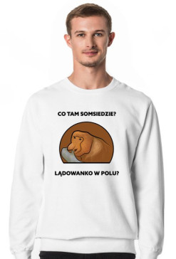 Bluza męska bez kaptura, Lądowanko w polu