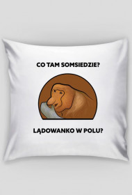 Poduszka, Lądowanko w polu