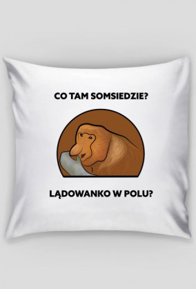 Poduszka, Lądowanko w polu
