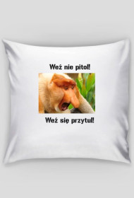 Poduszka Janusz!