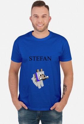 STEFAN