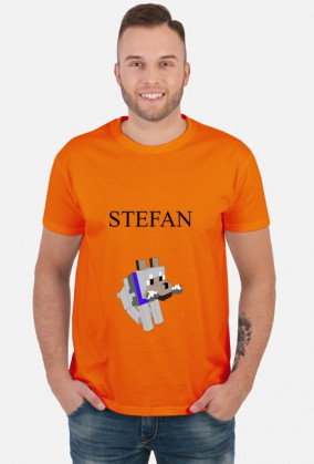 STEFAN