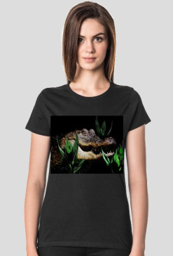 Aligator