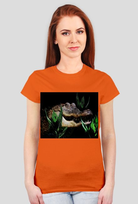 Aligator